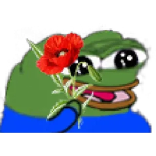 😁 Pepe the Frog เปเป้, กบ, มีม, ดอกไม้, น่ารัก whatsapp sticker