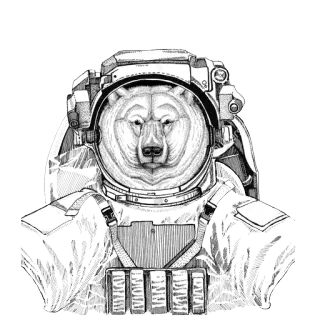 🌌 orso, astronauta, spazio, animale, tuta spaziale, illustrazione telegram sticker