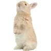 🐰