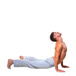 🧘‍♂️ Йога, Мужчина, Упражнение, Растяжка, Фитнес, Поза, Мужской, Тело, Тренировка telegram sticker