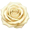 🌹