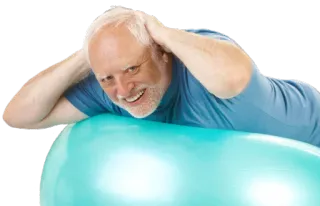 💪 Hide the Pain Harold meme, stock photo, exercise, internet, humor, funny, smile telegram sticker