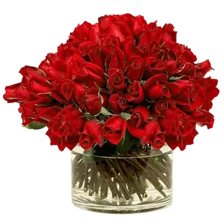 🌗 roses, flowers, red, bouquet, floral arrangement, glass vase, romance, love telegram sticker
