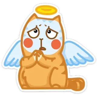 😇 chat, ange, mignon, triste, auréole, animal, autocollant telegram sticker