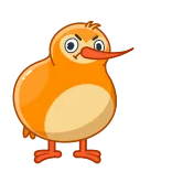 🙄 птица, киви, мультфильм, животное, оранжевый, злой whatsapp sticker