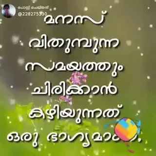 💌 മനസ്സ് വിതുമ്പുന്ന സമയത്തും ചിരിക്കാന് കഴിയുന്നത് ഒരു ഭാഗ്യമാണ്. telegram sticker