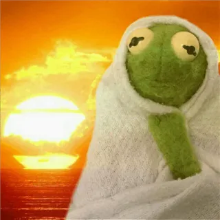 ☹️ Kermit Kermit la rana, Muppet, asciugamano, alba, relax whatsapp sticker
