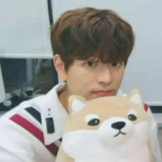 🐶 whatsapp sticker