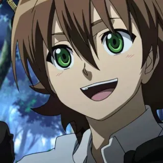 😀 Tatsumi Akame ga Kill! Anime, Postać, Uśmiech, Portret telegram sticker