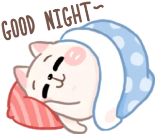 😴 GOOD NIGHT Katze, schlafend, Gute Nacht, süß, Tiere, herzerwärmend whatsapp sticker