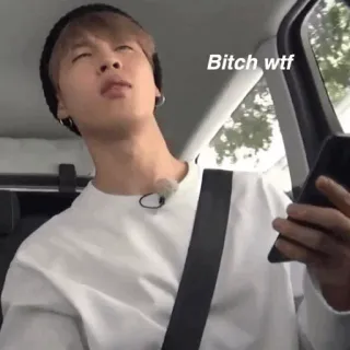 🐚 Bitch wtf Meme, Divertente, Espressione, Infastidito, WTF, Troia telegram sticker