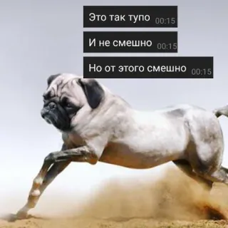 🐶 Это так тупо
И не смешно
Но от этого смешно pug, cachorro, humor, engraçado, animal, correndo, estúpido, não engraçado, mas engraçado telegram sticker