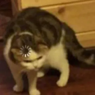 😾 猫, 読み込み中, エラー, ミーム, 動物, 面白い telegram sticker