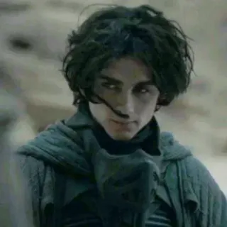 😐 Paul Atreides Dune Dune, Paul Atreides, Timothée Chalamet, science fiction, movie, character telegram sticker