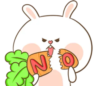 🐽 NO królik, marchewka, nie, słodkie, zwierzę, naklejka telegram sticker