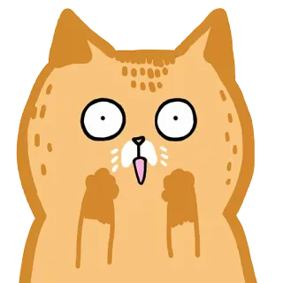 😱 gatto, animale, carino, divertente, sorpreso, cartone animato telegram sticker