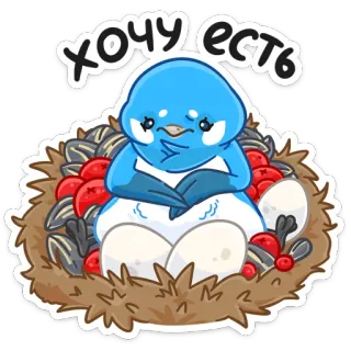 🍔 хочу есть Vogel, Nest, Eier, hungrig, Cartoon, süß, Tier whatsapp sticker