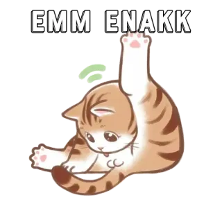 🤪 EMM ENAKK cat, cute, funny, animal, cartoon telegram sticker