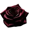 🥀