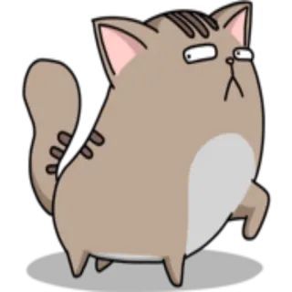 🧐 gatto, animale, cartone animato, adesivo, divertente, umoristico whatsapp sticker