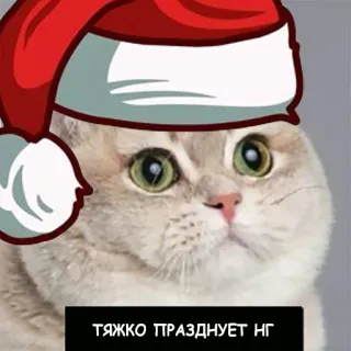 🍾 ТЯЖКО ПРАЗДНУЕТ НГ katze, weihnachten, weihnachtsmütze, neujahr, feier, russisch telegram sticker
