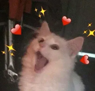 ❤️ kot, ziewanie, serca, gwiazdy, zwierzę, słodki whatsapp sticker