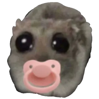 🍼 햄스터, 동물, 아기, 젖꼭지, 귀여운, 설치류 whatsapp sticker