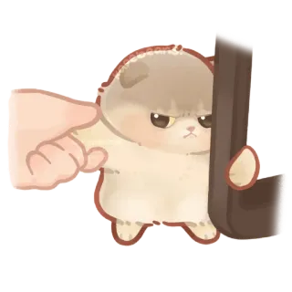 ✨ kucing, imut, hewan, stiker, kartun whatsapp sticker