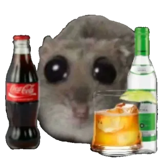 🍾 Japanese dwarf flying squirrel Coca-Cola squirrel, alcohol, coca-cola, funny, drinking, meme, cute telegram sticker