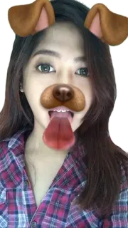😜 Hund, Hundefilter, Selfie, Frau, Digitaler Sticker telegram sticker