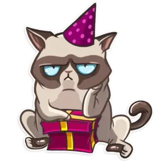 ☹ Grumpy Cat gato, gruñón, fiesta, sombrero, regalo telegram sticker