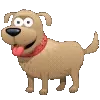 🐩