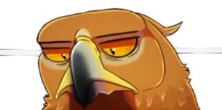 😣 pássaro, coruja, bravo, sério, olhos whatsapp sticker