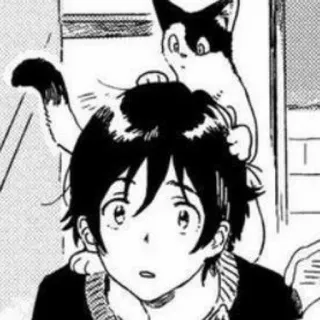 🖤 ragazzo, gatto, animale, manga, anime, bianco e nero telegram sticker