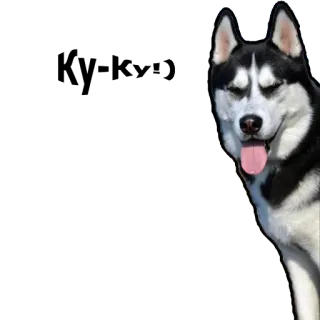 😃 dog, husky, animal, pet, cute, domestic, siberian husky whatsapp sticker