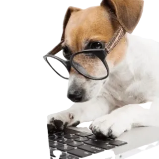 🤓 собака, компьютер, очки, умный, печатает, животное, питомец, милый telegram sticker