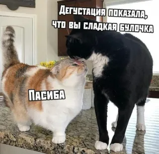 ❤️ ДЕГУСТАЦИЯ ПОКАЗАЛА, ЧТО ВЫ СЛАДКАЯ БУЛОЧКА. ПАСИБА telegram sticker