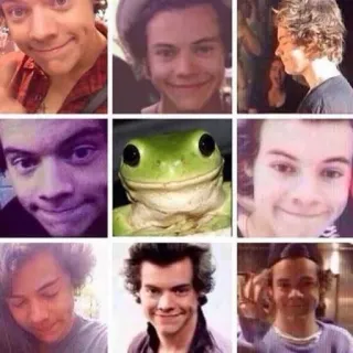 🐸 Harry Styles harry styles, singer, celebrity, pop star, frog, collage telegram sticker