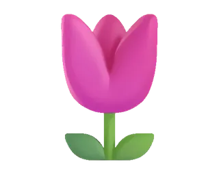 🌷 fiore, tulipano, rosa, pianta, primavera, natura telegram sticker
