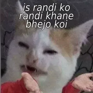 🙂 is randi ko randi khane bhejo koi kot, mem, obraźliwe, indyjski whatsapp sticker