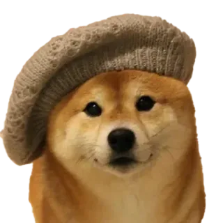 🥖 dog, shiba inu, beret, cute, meme, animal telegram sticker