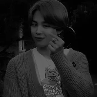 🪶 Campus Wheel k-pop, jimin, bts, asian, korean telegram sticker