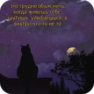 🌌 это трудно объяснить,
когда живёшь себе,
шутишь, улыбаешься, а
внутри что-то не то cat, moon, night, sadness, loneliness whatsapp sticker
