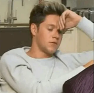 🌈 Niall Horan 나일 호란, 원 디렉션, 연예인, 가수, Facepalm (얼굴감싸기), 피곤, 짜증 telegram sticker