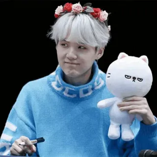 🕯 Suga K-POP, ミン・ユンギ, アイドル, 歌手, 花冠, 韓国, ぬいぐるみ, 猫 telegram sticker