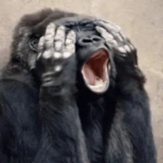 😱 khỉ đột, động vật, vượn, sợ hãi, sốc, sợ, ngạc nhiên telegram sticker