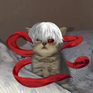 😈 Ken Kaneki Tokyo Ghoul cursed+blessed Anime, Gato, Ken Kaneki, Tokyo Ghoul, Manga, Ghoul, Ojos rojos whatsapp sticker