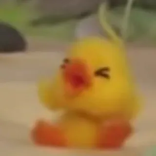 🦆 pintinho, pato, animal, fofo, amarelo whatsapp sticker