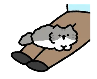 👍 gato, lindo, kawaii, animal, mascota, esponjoso, dibujo animado, gris telegram sticker