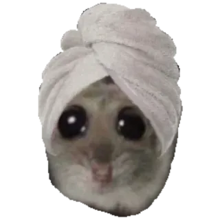 🧖‍♀ sugar glider sugar glider, towel, cute, funny, animal, meme, bath telegram sticker